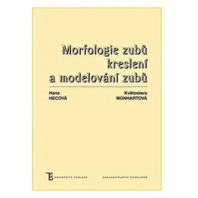 Morfologie zubů - Kreslení a modelování zubů