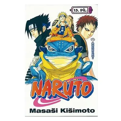 Naruto 13 - Rozulzlení