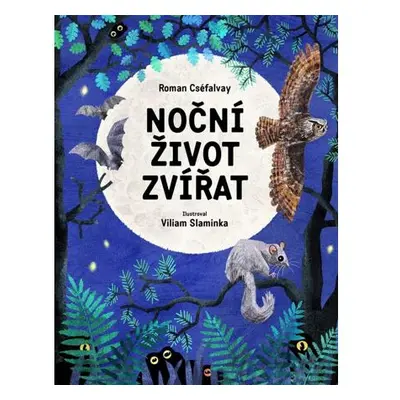 Noční život zvířat