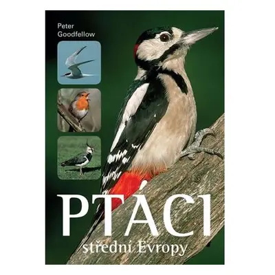 Ptáci střední Evropy