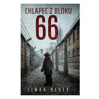 Chlapec z bloku 66