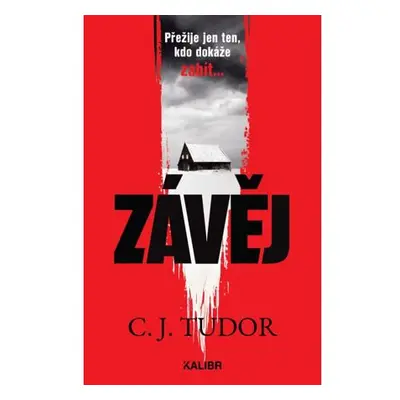 Závěj