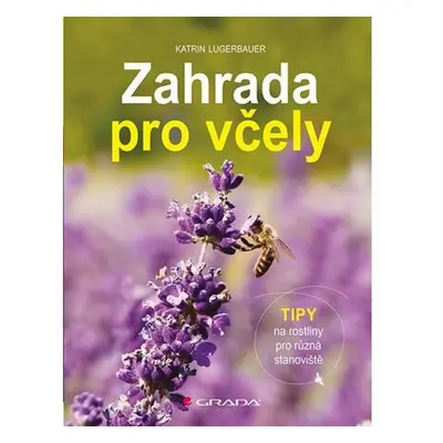 Zahrada pro včely - Tipy na rostliny pro různá stanoviště