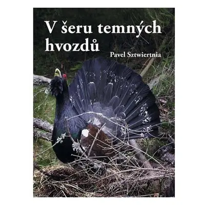 V šeru temných hvozdů