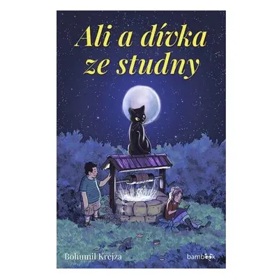 Ali a dívka ze studny