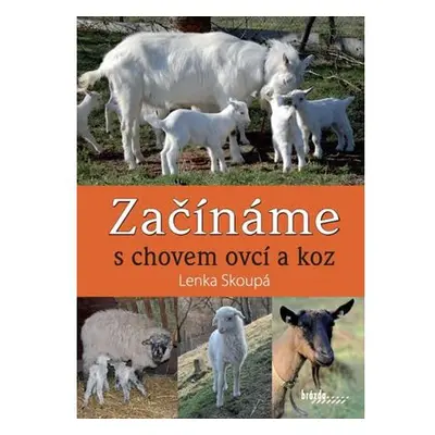 Začínáme s chovem ovcí a koz