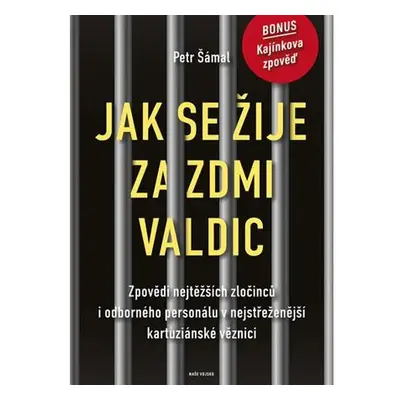 Jak se žije za zdmi Valdic - Zpovědi nejtěžších zločinců i odborného personálu v nejstřeženější 