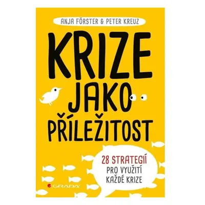 Krize jako příležitost - 28 strategií pro využití každé krize