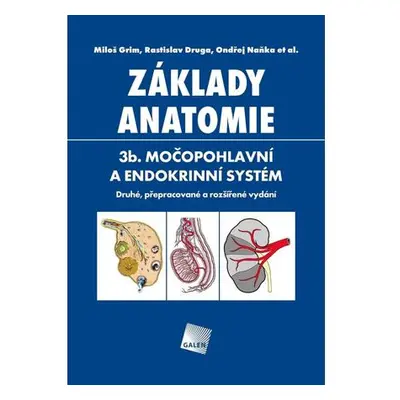 Základy anatomie. 3b - Močopohlavní a endokrinní systém