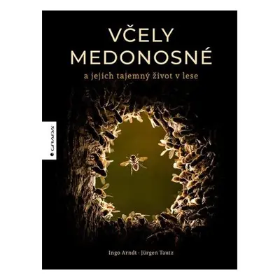 Včely medonosné a jejich tajemný život v lese