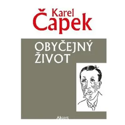 Obyčejný život