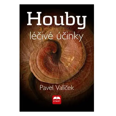 Houby a jejich léčivé účinky