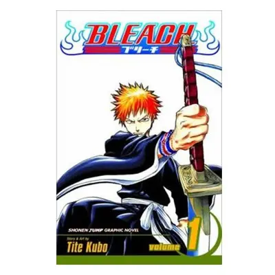 Bleach 1: The Death and the Strawberry