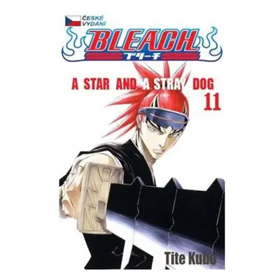 Bleach 11: A Star and a Stray Dog