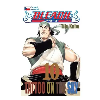 Bleach 10: Tattoo on the Sky