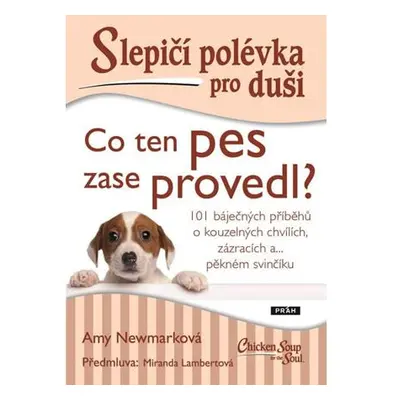 Slepičí polévka pro duši - Co ten pes zase provedl?