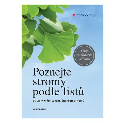 Poznejte stromy podle listů - 64 listnatých a jehličnatých stromů