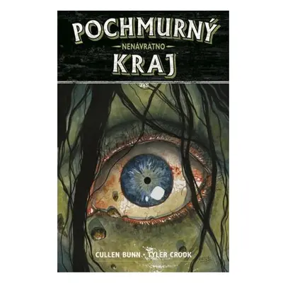 Pochmurný kraj 8 - Nenávratno