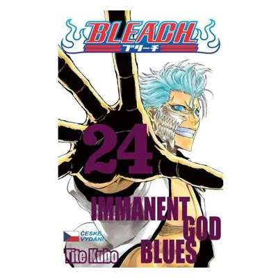 Bleach 24: Immanent God blues