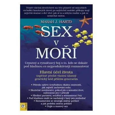 Sex v moři