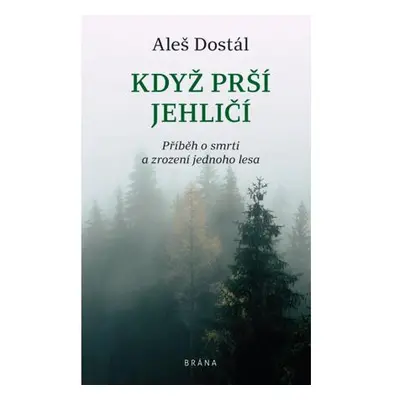 Když prší jehličí