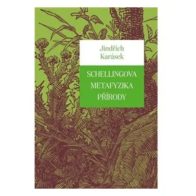 Schellingova metafyzika přírody