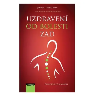 Uzdravení od bolesti zad - Propojení těla a mysli