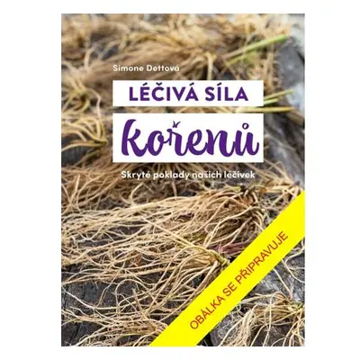 Léčivá síla kořenů