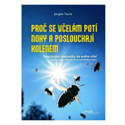 Proč se včelám potí nohy a poslouchají kolenem