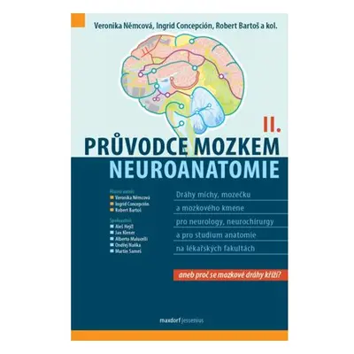 Průvodce mozkem - Neuroanatomie II.