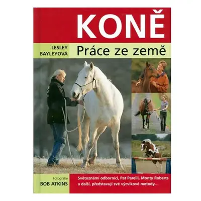 Koně - práce ze země