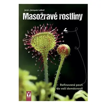 Masožravé rostliny - Rafinované pasti do vaší domácnosti