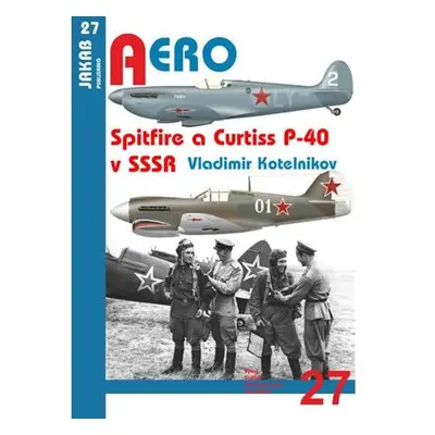 Spitfire a Curtiss P-40 v SSSR