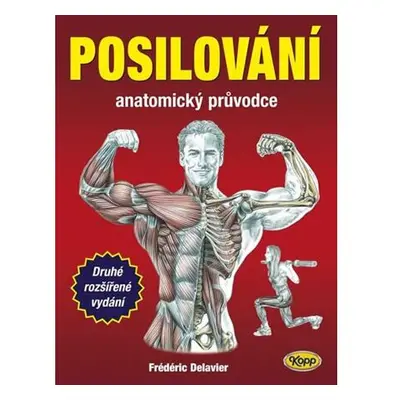 Posilování - anatomický průvodce