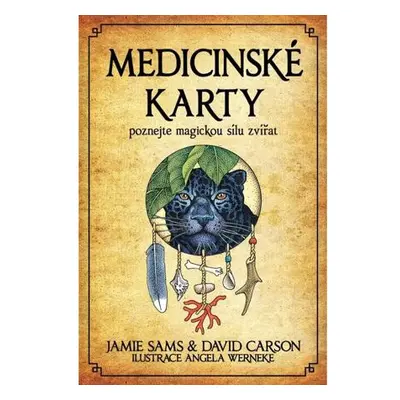 Medicinské karty - Poznejte magickou sílu zvířat - Kniha + 52 karet