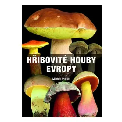 Hřibovité houby Evropy