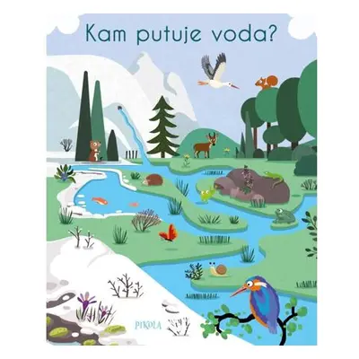 Kam putuje voda?