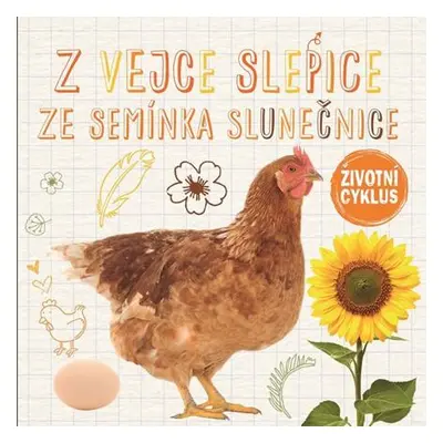 Z vejce slepice, ze semínka slunečnice - Životní cyklus