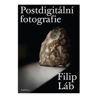 Postdigitální fotografie