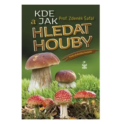 Kde a jak hledat houby - Rady zkušeného houbaře