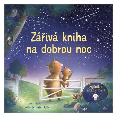 Zářivá kniha na dobrou noc