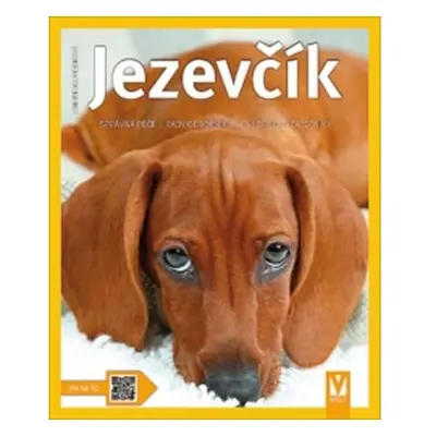 Jezevčík - Jak na to