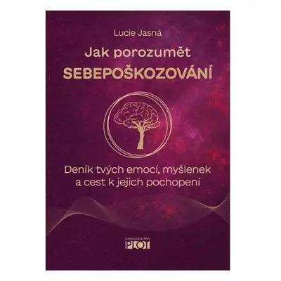 Jak porozumět sebepoškozování - Deník tvých emocí, myšlenek a cest k jejich pochopení