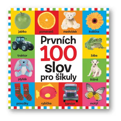 Prvních 100 slov pro šikuly