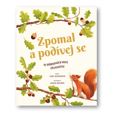 Zpomal a podívej se