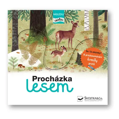 Procházka lesem - následuj cestu