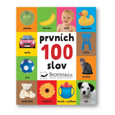 Prvních 100 slov