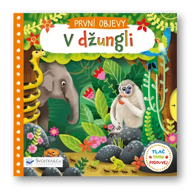 PRVNÍ OBJEVY - V džungli