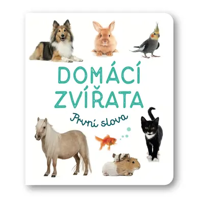 Domácí zvířata První slova