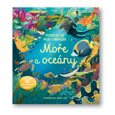 Podívej se pod obrázek - Moře a Oceány